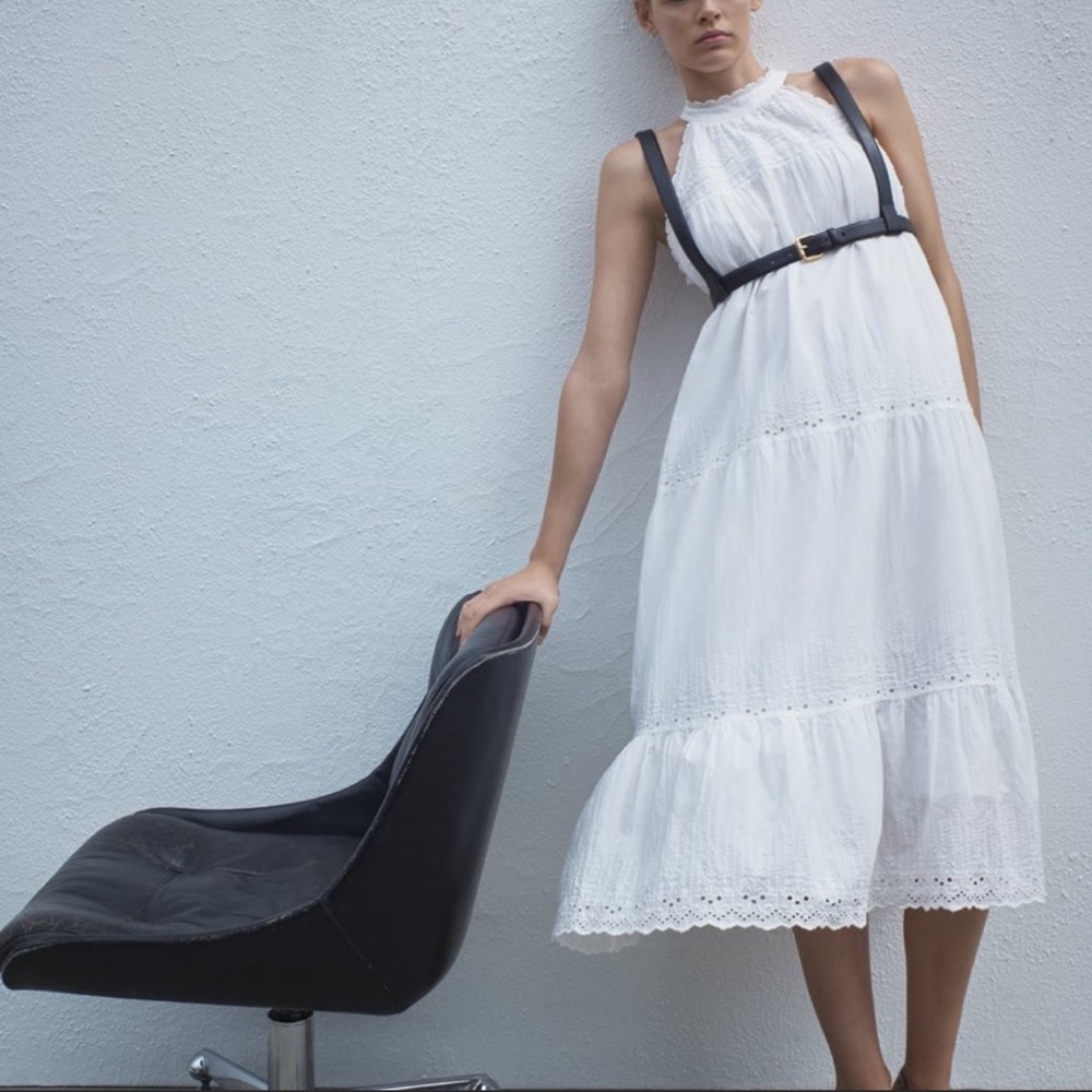 Zara Openwork Embroidered Dress